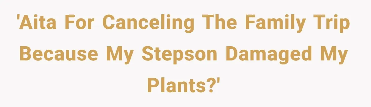 He Canceled the Family Trip After His Stepson Destroyed His Plants, and Now Everyone Is Taking Sides 'AITA for canceling the family trip because my stepson damaged my plants?'