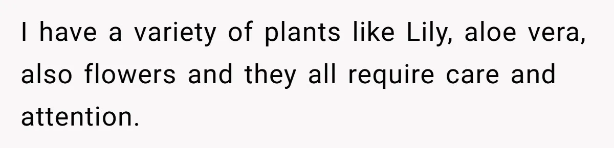He Canceled the Family Trip After His Stepson Destroyed His Plants, and Now Everyone Is Taking Sides I have a variety of plants like Lily, aloe vera, also flowers and they all require care and attention.