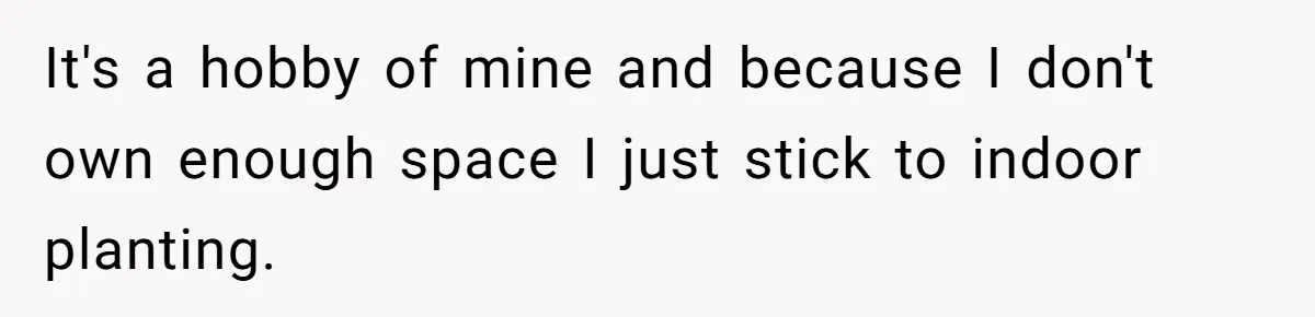 He Canceled the Family Trip After His Stepson Destroyed His Plants, and Now Everyone Is Taking Sides It's a hobby of mine and because I don't own enough space I just stick to indoor planting.