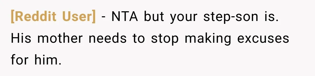 [Reddit User] − NTA but your step-son is. His mother needs to stop making excuses for him.