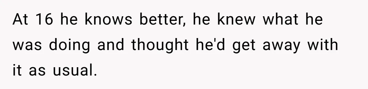 He Canceled the Family Trip After His Stepson Destroyed His Plants, and Now Everyone Is Taking Sides At 16 he knows better, he knew what he was doing and thought he'd get away with it as usual.