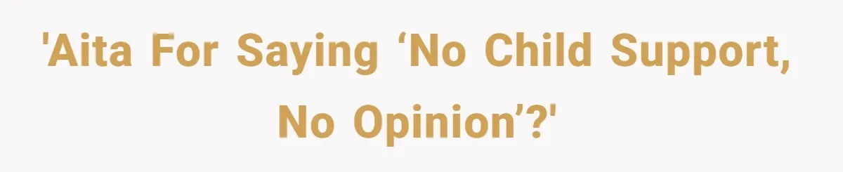 Dad Denied Her For 17 Years, Then Tried To Control What She Does—She Hit Him With ‘No Child Support, No Opinion’ 'AITA for saying ‘No child support, no opinion’?'