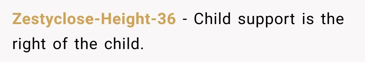 Dad Denied Her For 17 Years, Then Tried To Control What She Does—She Hit Him With ‘No Child Support, No Opinion’ Zestyclose-Height-36 − Child support is the right of the child.