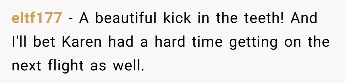 Airport Manager Reassigns Entitled Passenger's Seat To Disabled Traveler After Mask Tantrum Escalates eltf177 − A beautiful kick in the teeth! And I'll bet Karen had a hard time getting on the next flight as well.