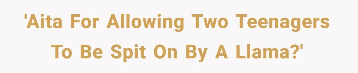 Teenagers Taunt a Llama, Get Hit With Reality - Was the Worker Wrong to Let It Happen? 'AITA for allowing two teenagers to be spit on by a llama?'