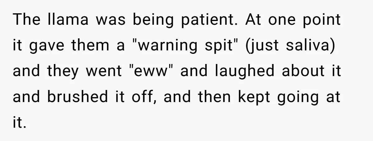 Teenagers Taunt a Llama, Get Hit With Reality - Was the Worker Wrong to Let It Happen? The llama was being patient. At one point it gave them a "warning spit" (just saliva) and they went "eww" and laughed about it and brushed it off, and then...