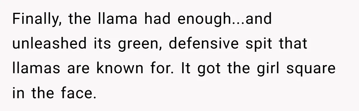 Teenagers Taunt a Llama, Get Hit With Reality - Was the Worker Wrong to Let It Happen? Finally, the llama had enough...and unleashed its green, defensive spit that llamas are known for. It got the girl square in the face.