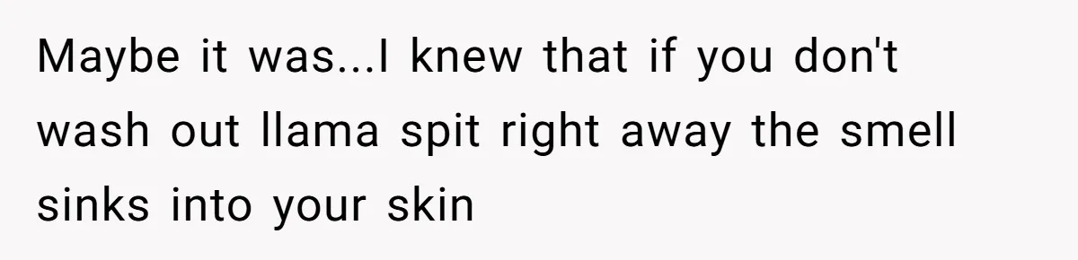 Teenagers Taunt a Llama, Get Hit With Reality - Was the Worker Wrong to Let It Happen? Maybe it was...I knew that if you don't wash out llama spit right away the smell sinks into your skin