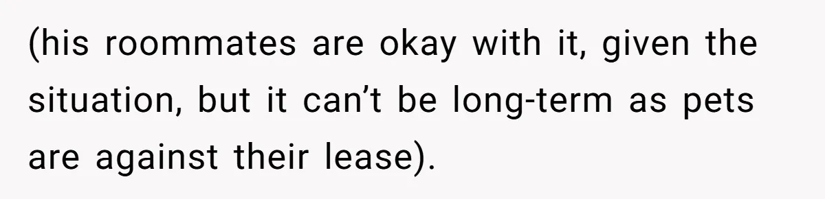 (his roommates are okay with it, given the situation, but it can’t be long-term as pets are against their lease).