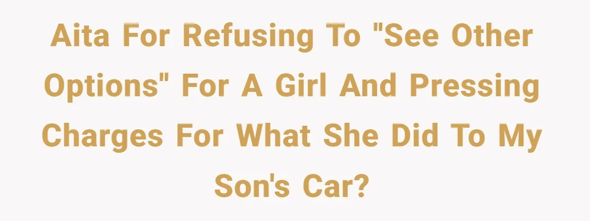 Bryce’s Parents Call Out Ex-Girlfriend After She Smashes His Christmas Car AITA for refusing to ''see other options'' for a girl and pressing charges for what she did to my son's car?