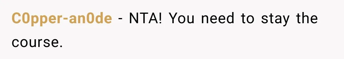 Bryce’s Parents Call Out Ex-Girlfriend After She Smashes His Christmas Car C0pper-an0de − NTA! You need to stay the course.
