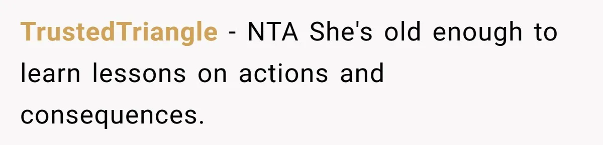 Bryce’s Parents Call Out Ex-Girlfriend After She Smashes His Christmas Car TrustedTriangle − NTA She's old enough to learn lessons on actions and consequences.