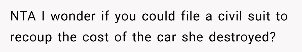 Bryce’s Parents Call Out Ex-Girlfriend After She Smashes His Christmas Car NTA I wonder if you could file a civil suit to recoup the cost of the car she destroyed?
