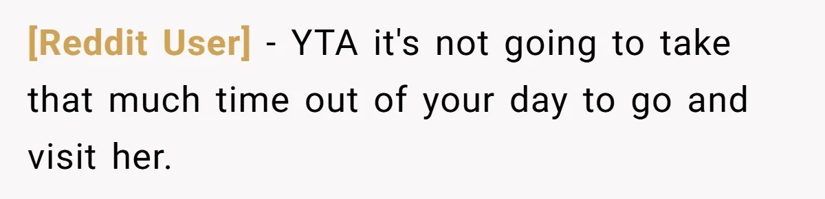 [Reddit User] − YTA it's not going to take that much time out of your day to go and visit her.