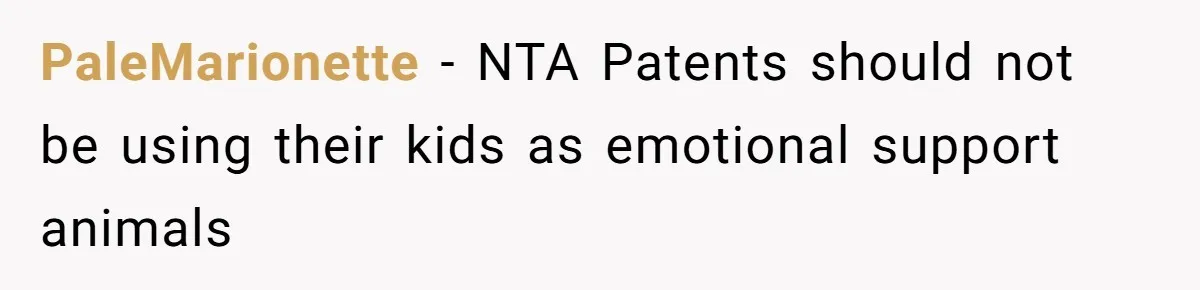 Stepdaughter Refuses To Help With Disabled Stepsister, Says It’s Not Her Problem – Is She A Jerk? PaleMarionette − NTA Patents should not be using their kids as emotional support animals