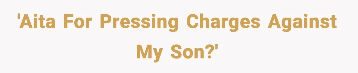 Dad Catches Son Stealing The Family TV On Security Footage, Is He Right To Call Police? 'AITA for pressing charges against my son?'