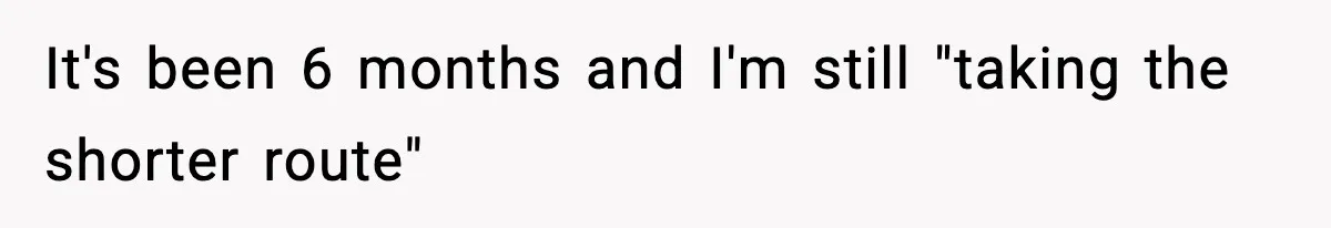 Employee Follows Bookkeeper’s “Shortest Route Only” Rule, Ends Up Costing Company Hundreds In Tolls It's been 6 months and I'm still "taking the shorter route"