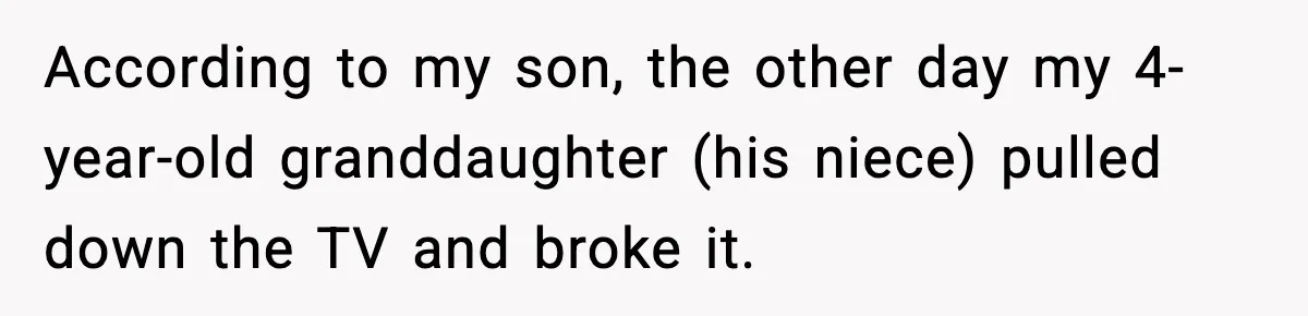 Dad Catches Son Stealing The Family TV On Security Footage, Is He Right To Call Police? According to my son, the other day my 4-year-old granddaughter (his niece) pulled down the TV and broke it.