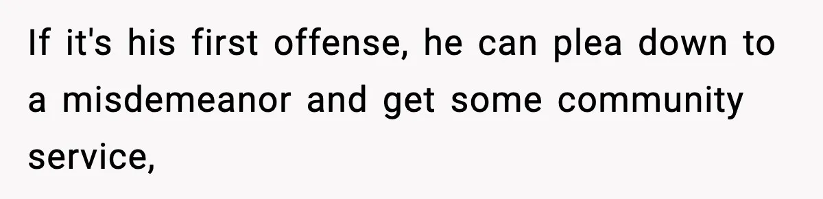 Dad Catches Son Stealing The Family TV On Security Footage, Is He Right To Call Police? If it's his first offense, he can plea down to a misdemeanor and get some community service,