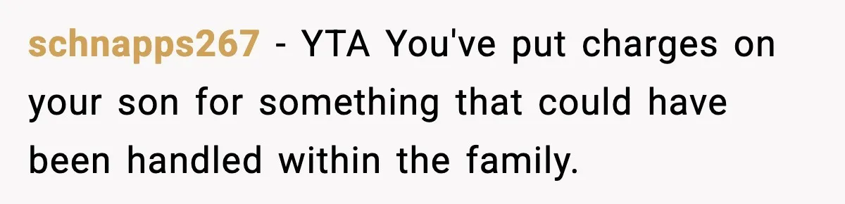 Dad Catches Son Stealing The Family TV On Security Footage, Is He Right To Call Police? schnapps267 − YTA You've put charges on your son for something that could have been handled within the family.