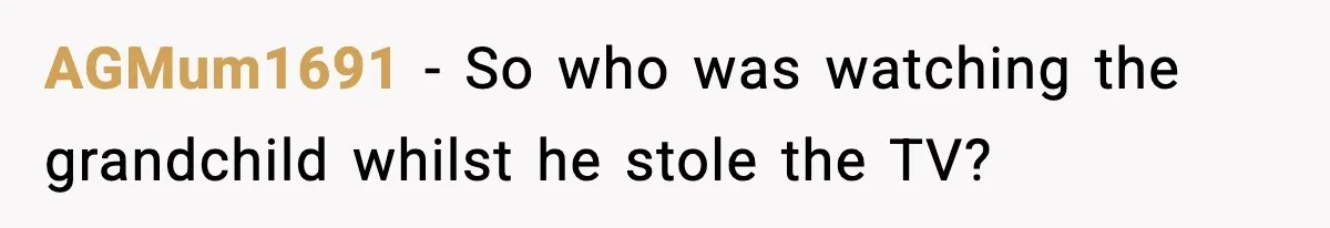 Dad Catches Son Stealing The Family TV On Security Footage, Is He Right To Call Police? AGMum1691 − So who was watching the grandchild whilst he stole the TV?