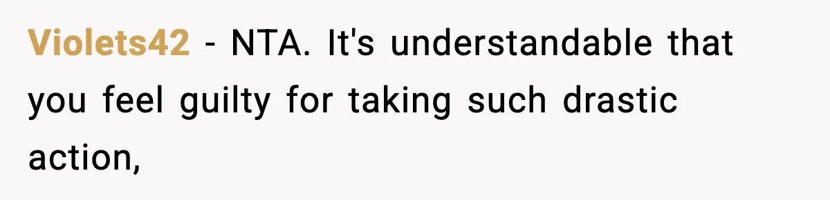 Dad Catches Son Stealing The Family TV On Security Footage, Is He Right To Call Police? Violets42 − NTA. It's understandable that you feel guilty for taking such drastic action,