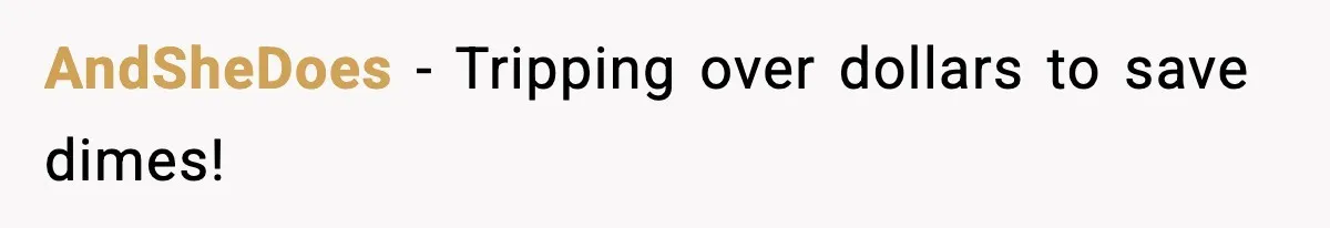 Employee Follows Bookkeeper’s “Shortest Route Only” Rule, Ends Up Costing Company Hundreds In Tolls AndSheDoes − Tripping over dollars to save dimes!