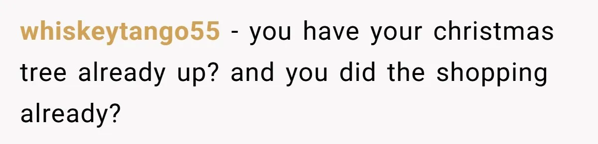 Parents Furious After Woman Replaces Her Son’s Broken Console With Nephew’s Gift whiskeytango55 − you have your christmas tree already up? and you did the shopping already?