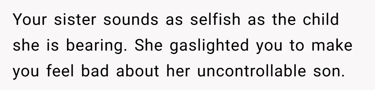 Parents Furious After Woman Replaces Her Son’s Broken Console With Nephew’s Gift Your sister sounds as selfish as the child she is bearing. She gaslighted you to make you feel bad about her uncontrollable son.