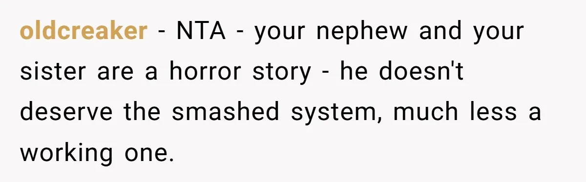 Parents Furious After Woman Replaces Her Son’s Broken Console With Nephew’s Gift oldcreaker − NTA - your nephew and your sister are a horror story - he doesn't deserve the smashed system, much less a working one.