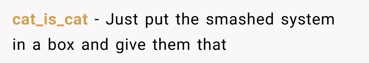 Parents Furious After Woman Replaces Her Son’s Broken Console With Nephew’s Gift cat_is_cat − Just put the smashed system in a box and give them that