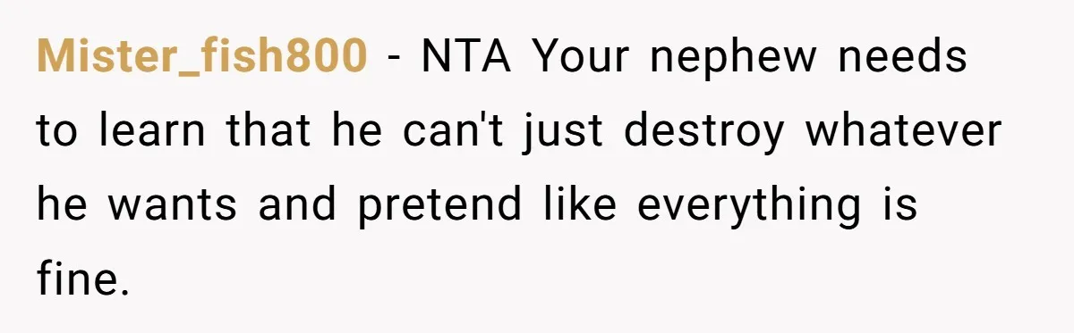 Parents Furious After Woman Replaces Her Son’s Broken Console With Nephew’s Gift Mister_fish800 − NTA Your nephew needs to learn that he can't just destroy whatever he wants and pretend like everything is fine.