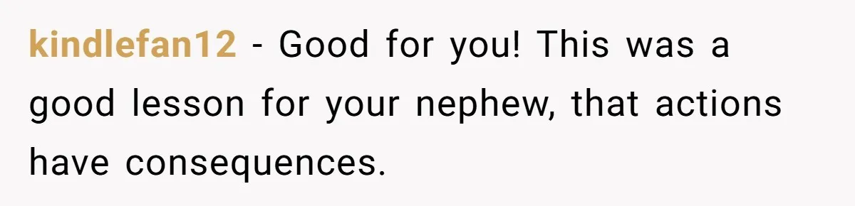 Parents Furious After Woman Replaces Her Son’s Broken Console With Nephew’s Gift kindlefan12 − Good for you! This was a good lesson for your nephew, that actions have consequences.