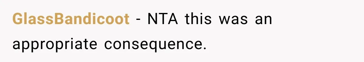 Parents Furious After Woman Replaces Her Son’s Broken Console With Nephew’s Gift GlassBandicoot − NTA this was an appropriate consequence.