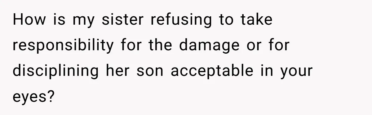 Parents Furious After Woman Replaces Her Son’s Broken Console With Nephew’s Gift How is my sister refusing to take responsibility for the damage or for disciplining her son acceptable in your eyes?