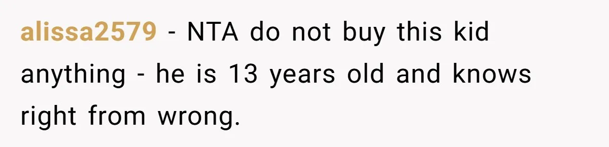 Parents Furious After Woman Replaces Her Son’s Broken Console With Nephew’s Gift alissa2579 − NTA do not buy this kid anything - he is 13 years old and knows right from wrong.