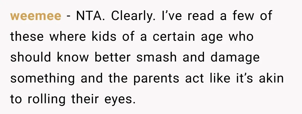 Parents Furious After Woman Replaces Her Son’s Broken Console With Nephew’s Gift weemee − NTA. Clearly. I’ve read a few of these where kids of a certain age who should know better smash and damage something and the parents act like it’s...