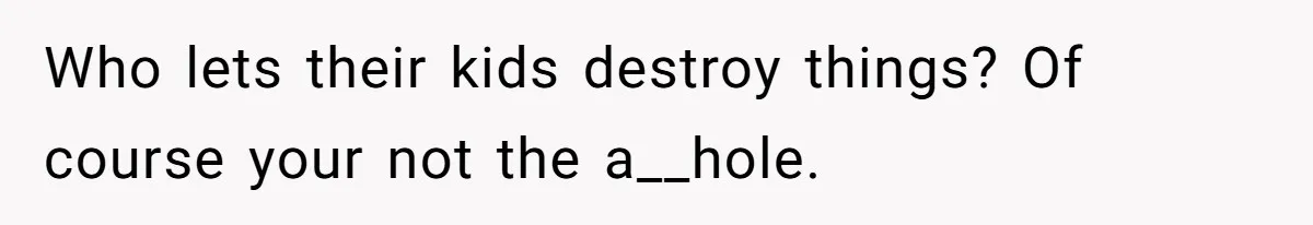 Parents Furious After Woman Replaces Her Son’s Broken Console With Nephew’s Gift Who lets their kids destroy things? Of course your not the a__hole.