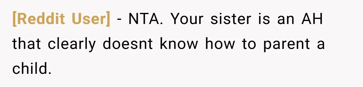 [Reddit User] − NTA. Your sister is an AH that clearly doesnt know how to parent a child.