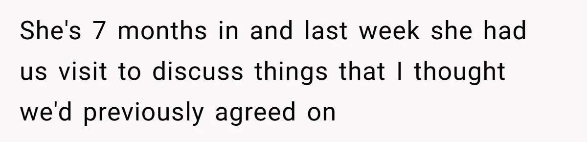 Surrogate Tried To Rewrite All The Rules, So Woman Reminded Her Whose Baby It Really Is She's 7 months in and last week she had us visit to discuss things that I thought we'd previously agreed on
