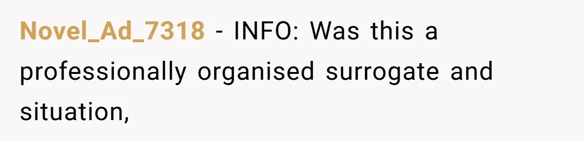 Surrogate Tried To Rewrite All The Rules, So Woman Reminded Her Whose Baby It Really Is Novel_Ad_7318 − INFO: Was this a professionally organised surrogate and situation,