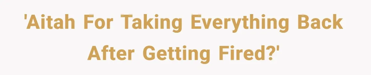 She Was Fired Without Warning, So She Took Everything She Had Bought For the Office. 'AITAH for taking everything back after getting fired?'