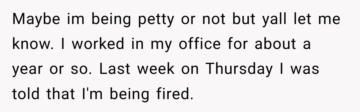 She Was Fired Without Warning, So She Took Everything She Had Bought For the Office. Maybe im being petty or not but yall let me know. I worked in my office for about a year or so. Last week on Thursday I was told that...