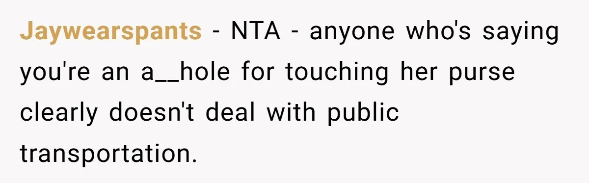 Woman Saves a Seat With Her Bag, Melts Down When Someone Tries to Sit - Did OP Go Too Far With the Clapback? Jaywearspants − NTA - anyone who's saying you're an a__hole for touching her purse clearly doesn't deal with public transportation.