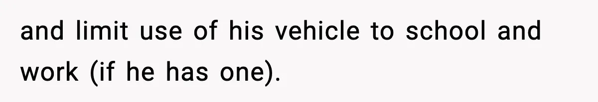 Dad Cancels Son’s Birthday After Cruel Attack On Grieving Stepbrother and limit use of his vehicle to school and work (if he has one).