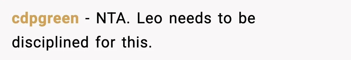 Dad Cancels Son’s Birthday After Cruel Attack On Grieving Stepbrother cdpgreen − NTA. Leo needs to be disciplined for this.