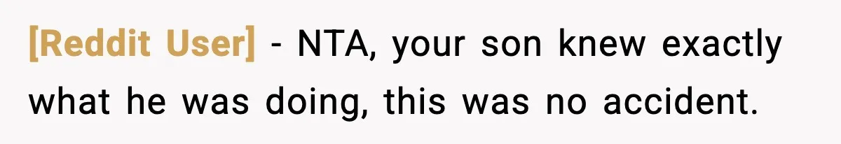 [Reddit User] − NTA, your son knew exactly what he was doing, this was no accident.
