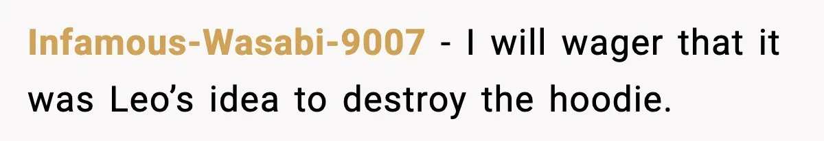 Dad Cancels Son’s Birthday After Cruel Attack On Grieving Stepbrother Infamous-Wasabi-9007 − I will wager that it was Leo’s idea to destroy the hoodie.