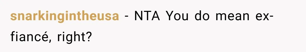 A Woman Went Into Labor After Being Kicked Out for a Lie - Now Her Fiancé Wants a Second Chance. snarkingintheusa − NTA You do mean ex-fiancé, right?