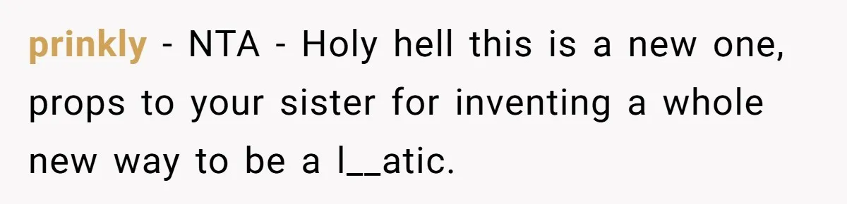Sister Forces Family to Write 250-Word Essays to Attend Her Wedding - But One Guest Refuses to Grovel prinkly − NTA - Holy hell this is a new one, props to your sister for inventing a whole new way to be a l__atic.